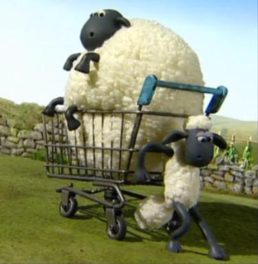 Shaun  Sheep on Shaun Pushing Shirley In A Shopping Cart